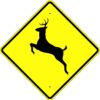 W11 3S deer symbol