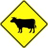 W11 4S cow symbol